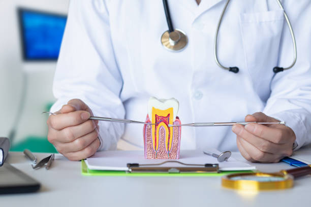 Best Emergency Dentist for Lost Fillings or Crowns in Pahokee, FL